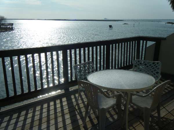 This Months Featured Condos!